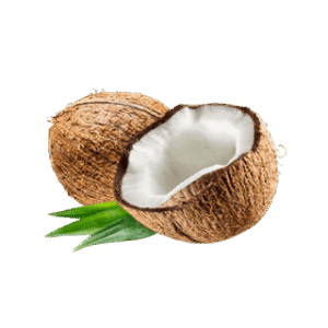 Coconut, Indonesia