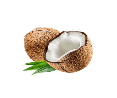 Coconut, Indonesia