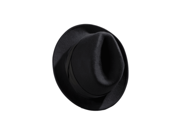 Fashionable Fedora Hat