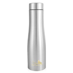 FlyCatcher - Insulated Travel Coffee Mug - Double Wall Vacumm Stainless Steel Tumbler with Spill Proof Lid for Hot and Ice Beverages(750ML)-Silver