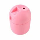 Humidifier