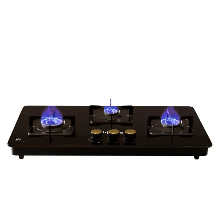 Gas stove