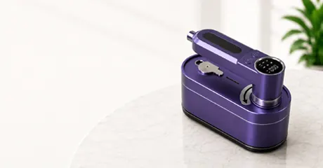 Mini Steam Iron